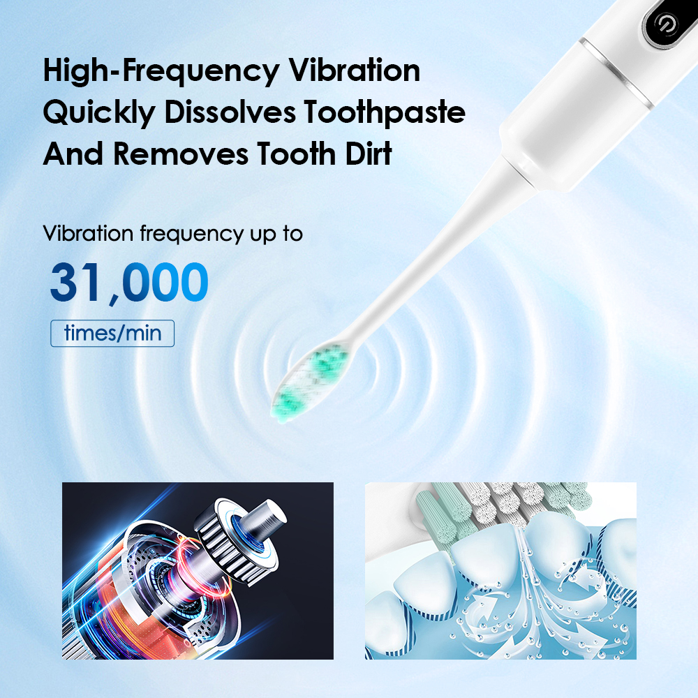 Electric Toothbrush Sonic Vibr - Electric Toothbrush Sonic 리뷰 및 가격