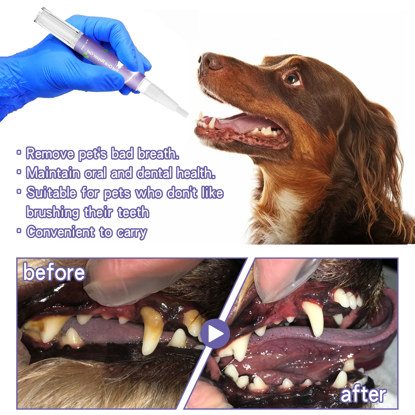 Pet Dental Care Gel 3ml Teeth  - Teeth Whitening Baking Soda 리뷰 및 가격