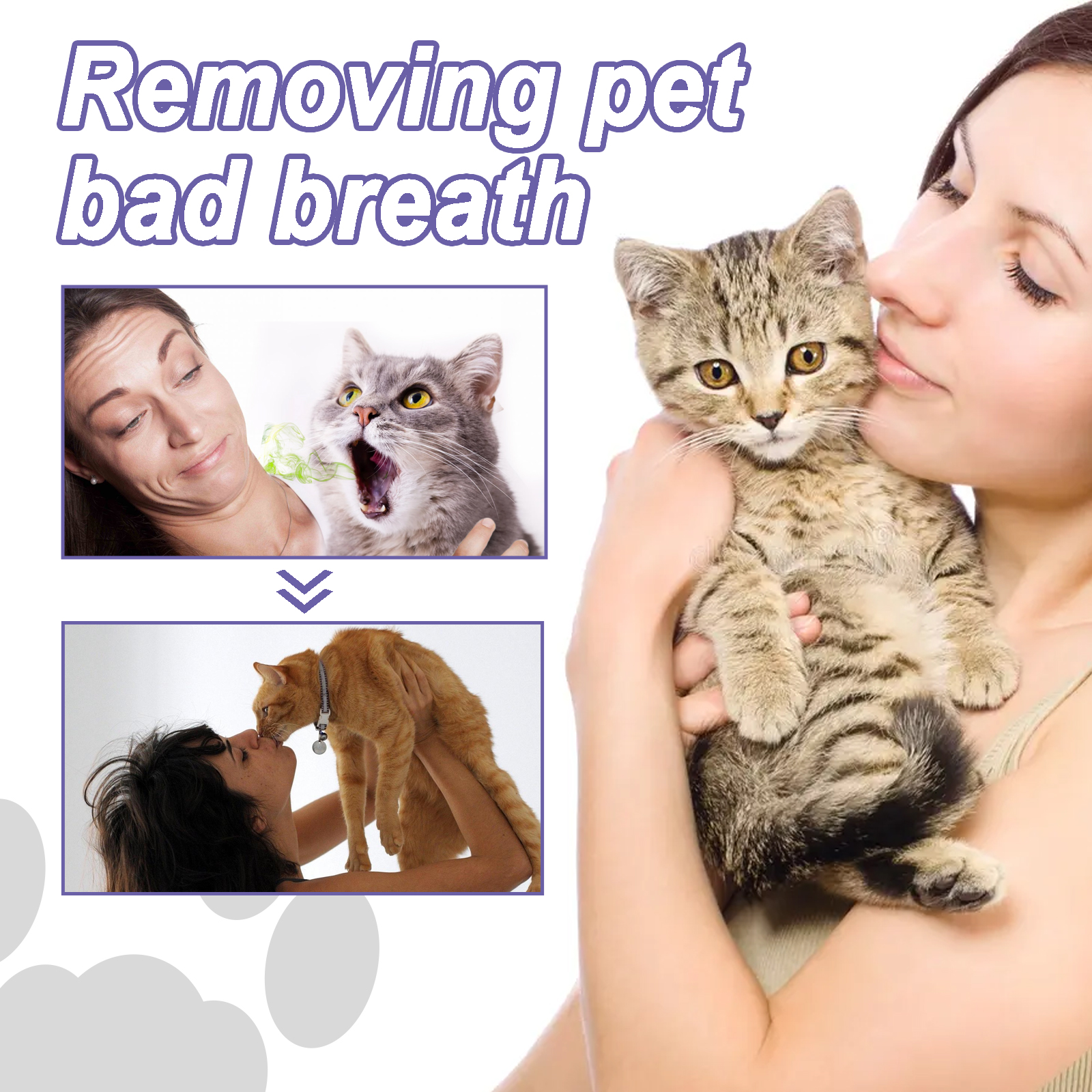 Pet Dental Care Gel 3ml Teeth  - Teeth Whitening Baking Soda 리뷰 및 가격