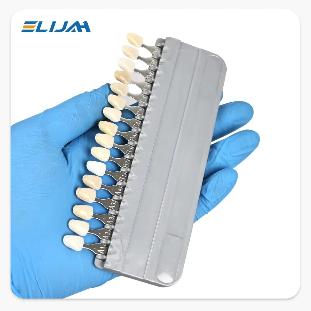 ELIJAH Master Dental Bleach Sh - Teeth Whitening Bleach 리뷰 및 가격