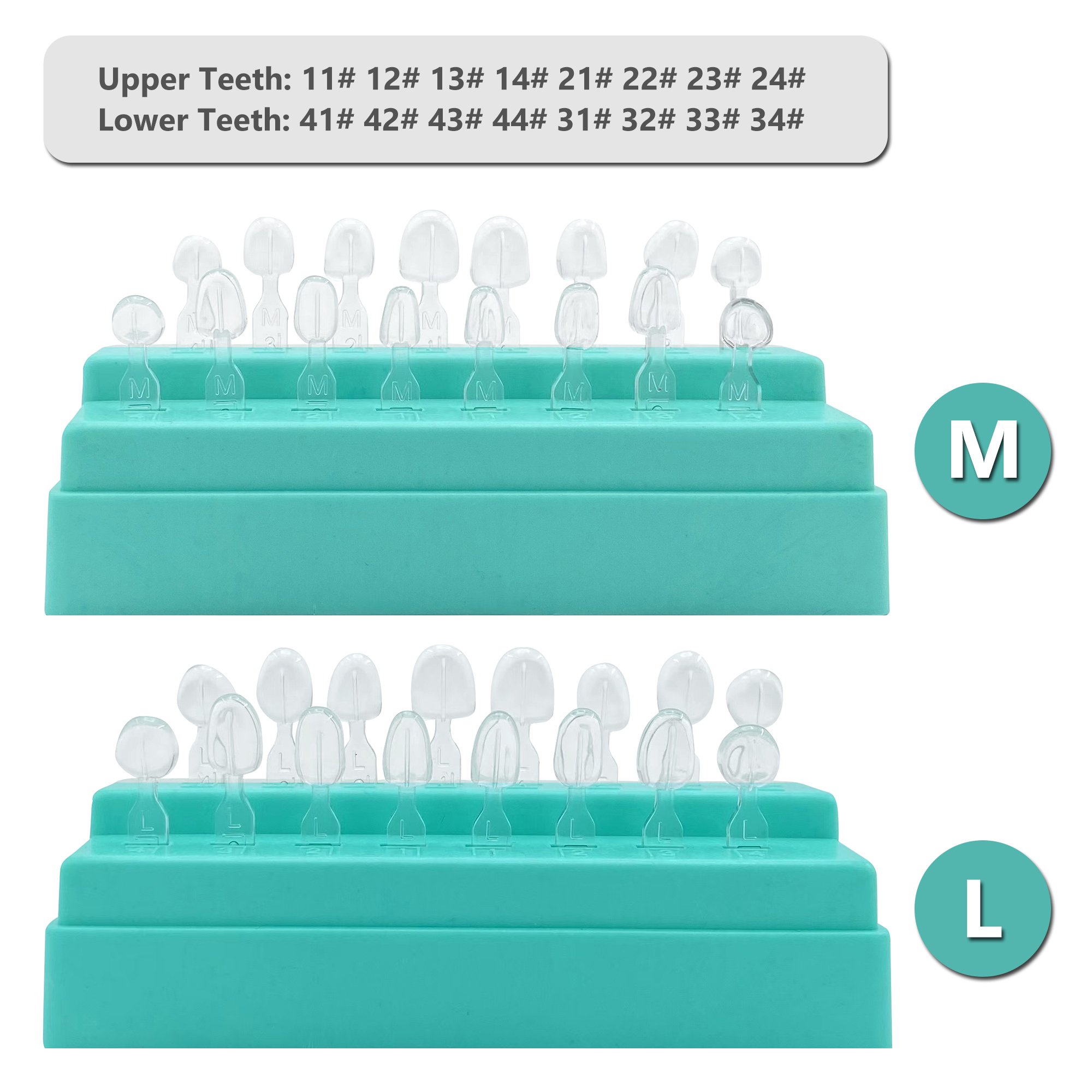 32Pcs New Dental Veneer Mould  - Teeth Whitening Moulds 리뷰 및 가격