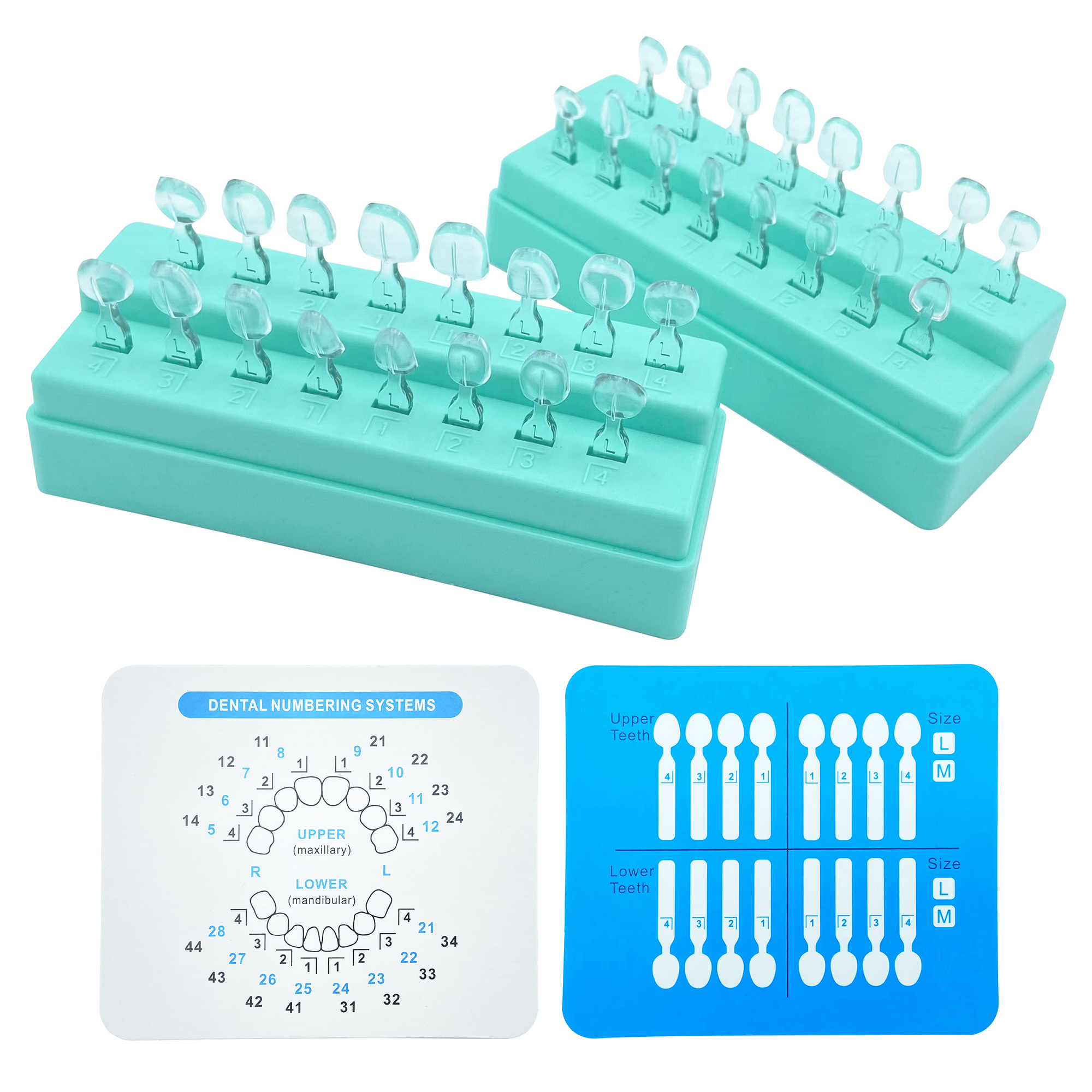 32Pcs New Dental Veneer Mould  - Teeth Whitening Moulds 리뷰 및 가격