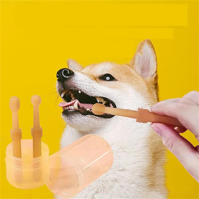 Teeth Whitening Dog Cat Silico - Teeth Whitening Toothbrush 리뷰 및 가격