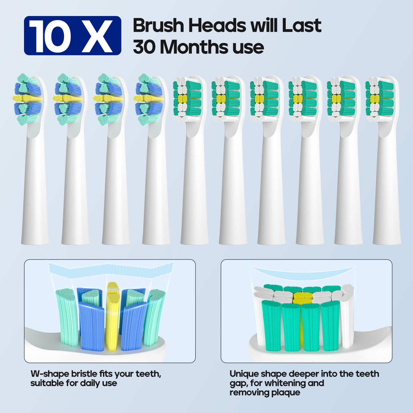 Seago Electric Toothbrush Choi - Electric Toothbrush Sonic 리뷰 및 가격