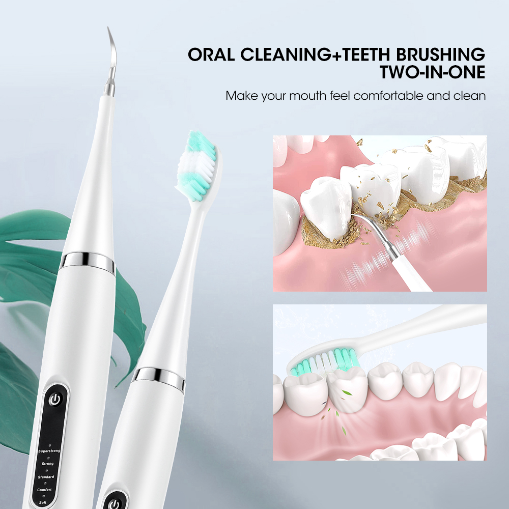 Electric Teeth Cleaner Sonic D - Teeth Whitening Toothbrush 리뷰 및 가격