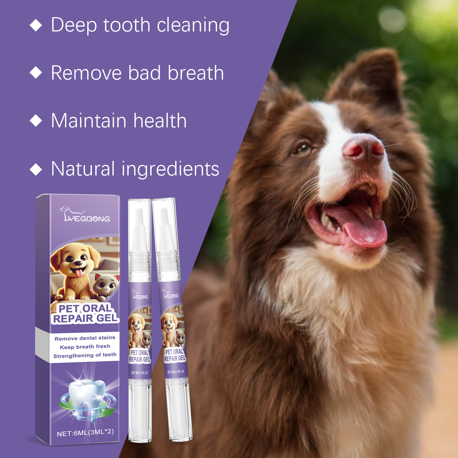 12pcs Pet Toothbrush Pen Denta - Teeth Whitening Toothbrush 리뷰 및 가격